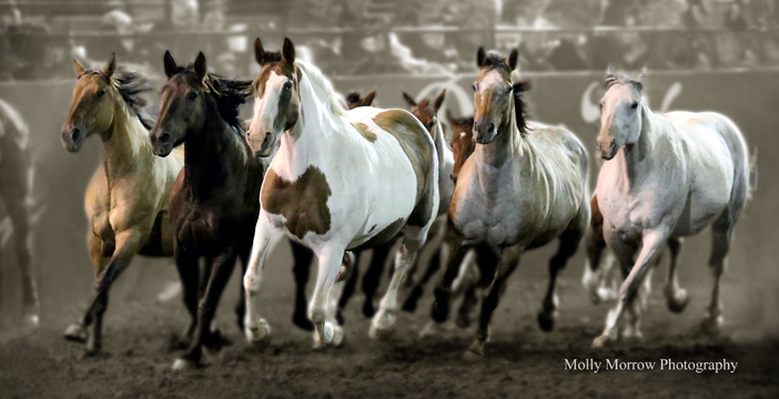 First Ladies of the Rodeo